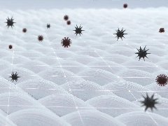 <b>抗菌纺织品知多少？后疫情时代纺织品开发方向</b>